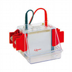 Electrophoresis System