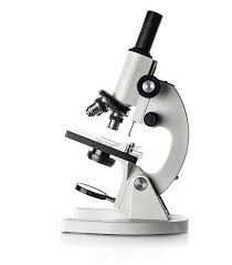 Clinical Microscope
