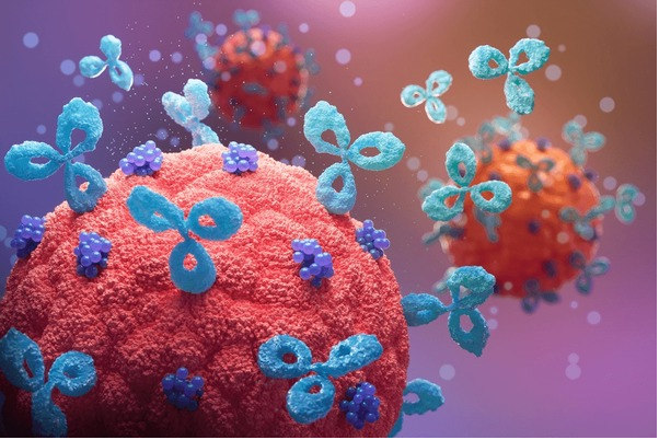 Primary Antibodies