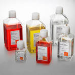 Cell Culture Media