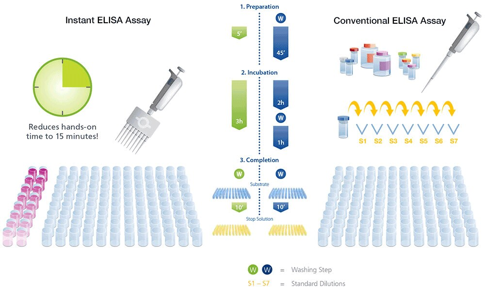 ELISA Kits