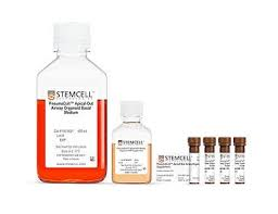 Stem Cell Products