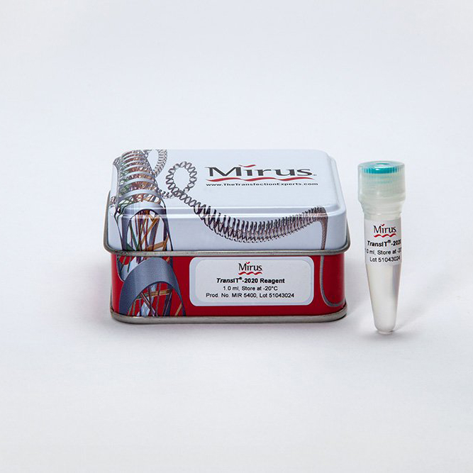 Transfection Reagents